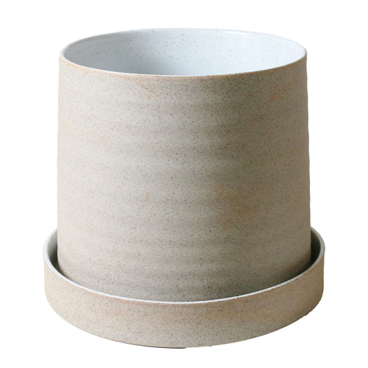 Robert Gordon - Pot Plant - White - Garden To Table