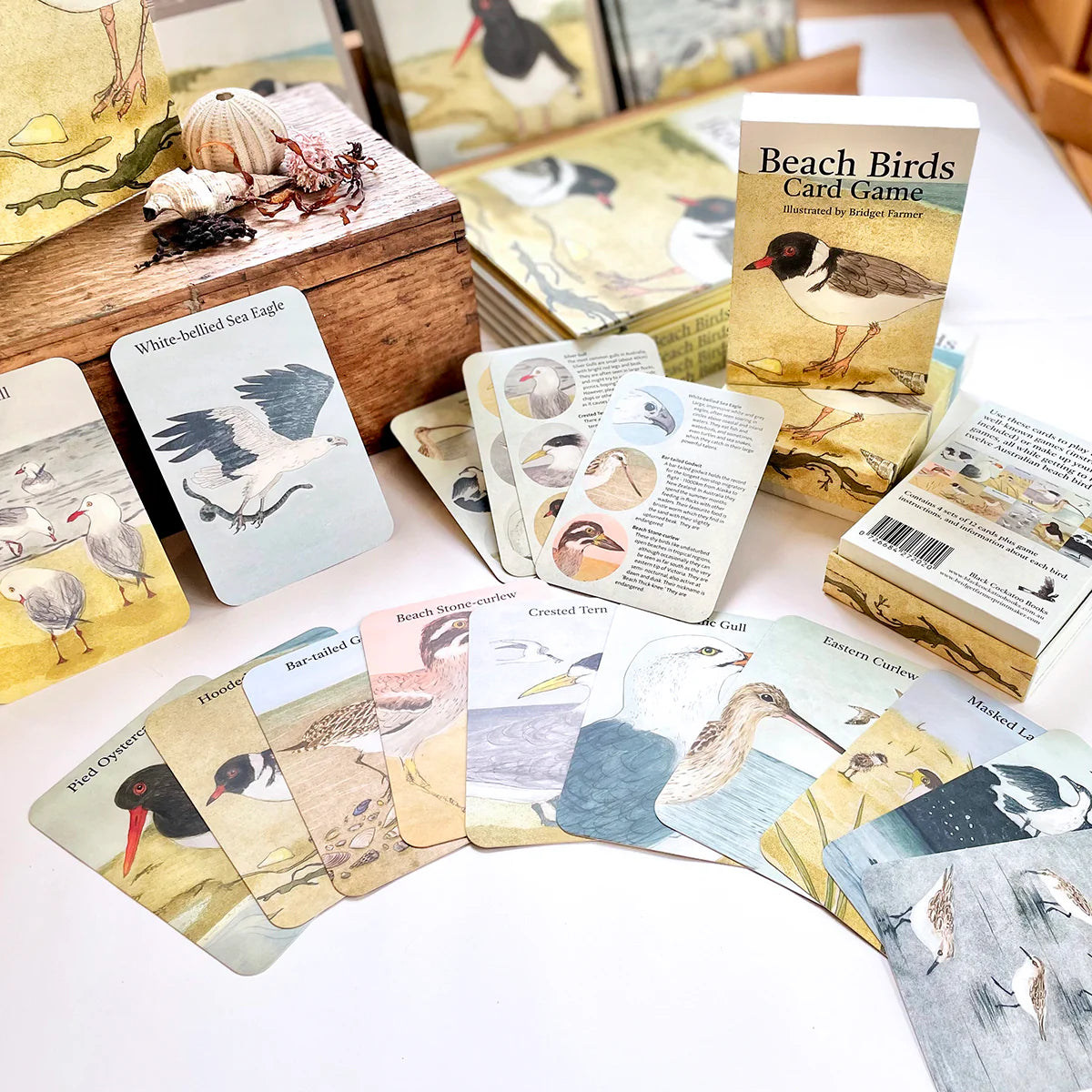 The Beach Birds - Card Game By Bridget Farmer