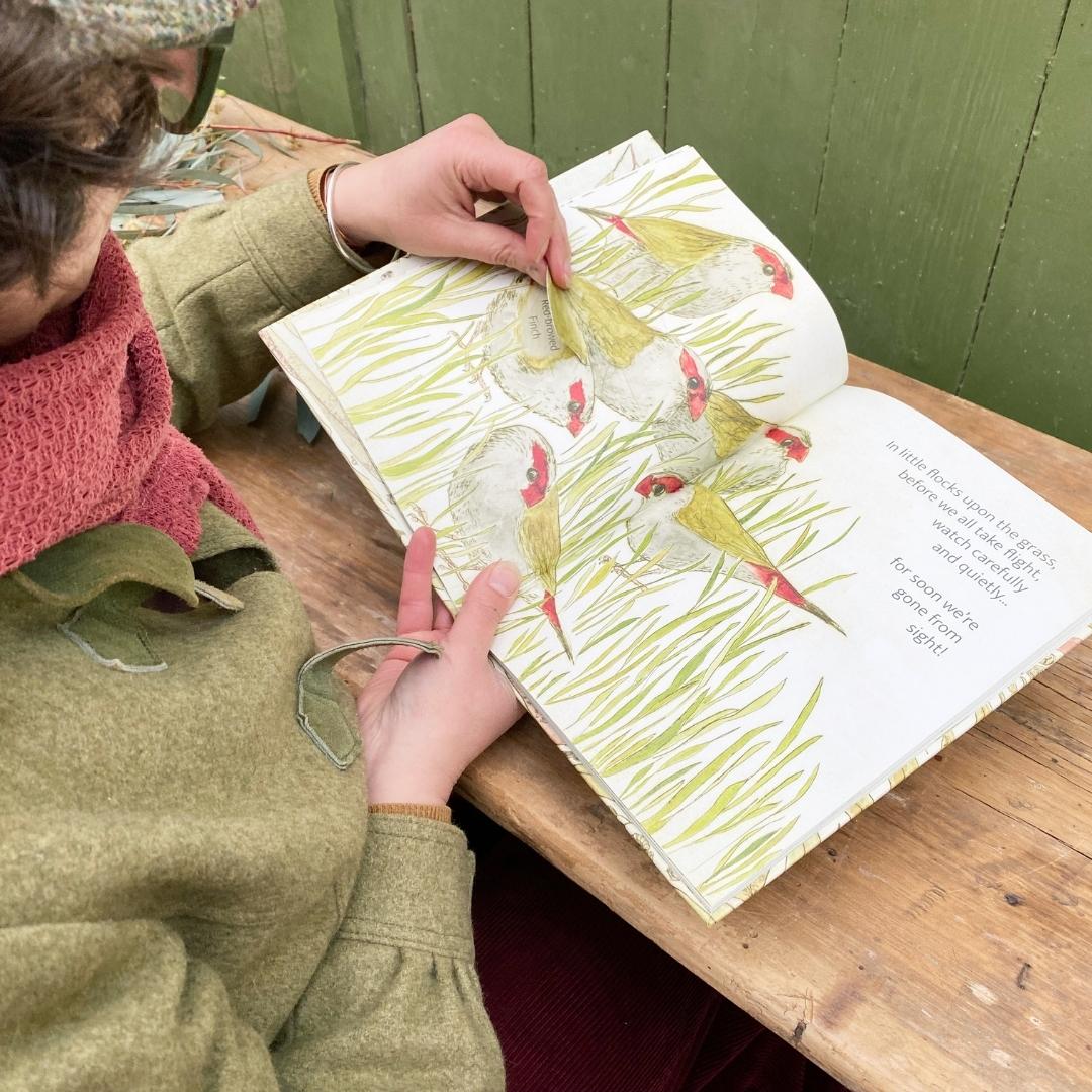 The Bush Birds - Lift The Flap Book By Bridget Farmer