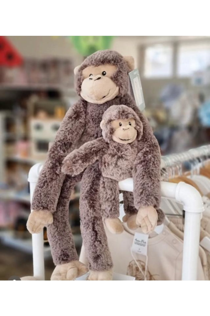 Nana Huchy - Mani The Monkey Child