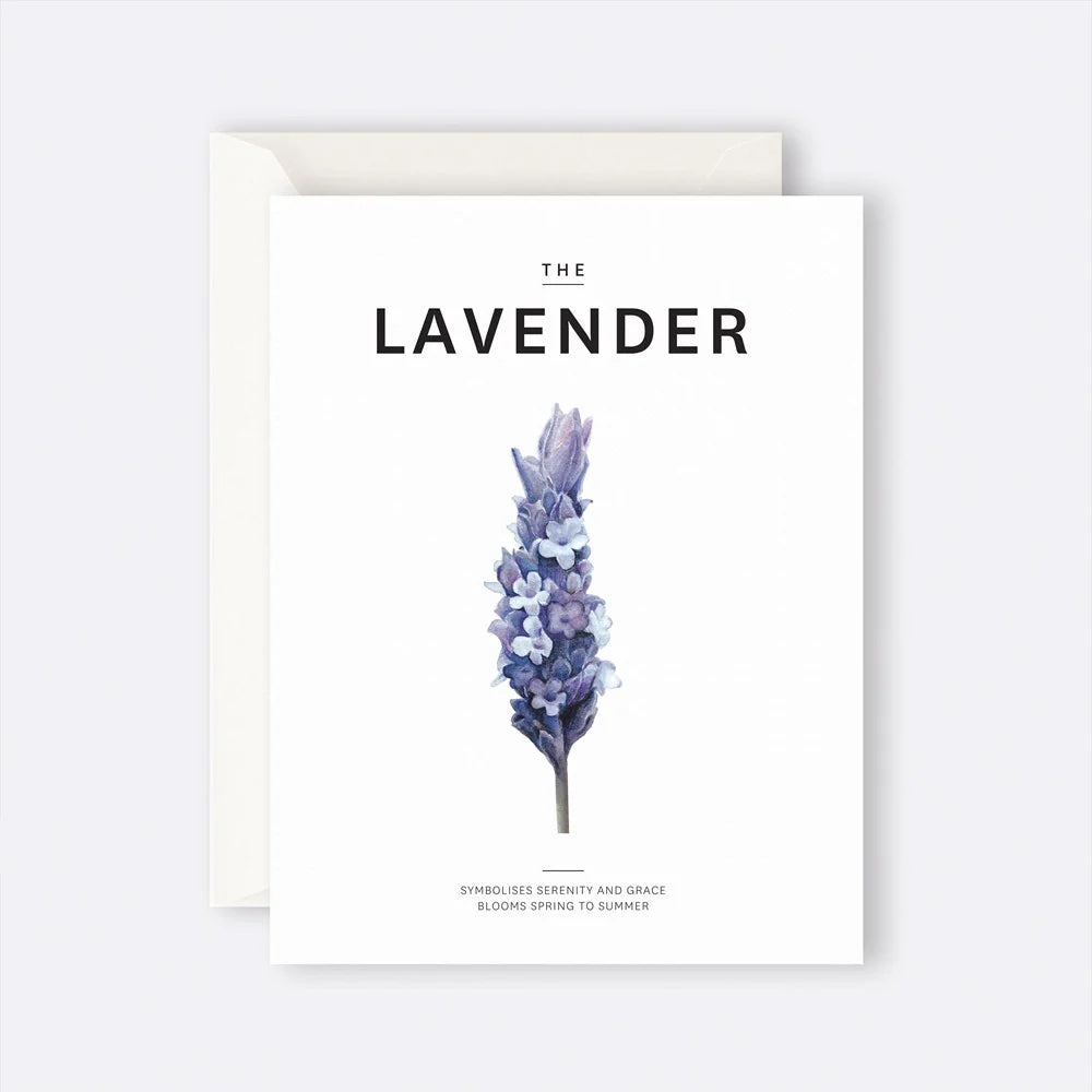 Father Rabbit Stationery - Greeting Card - The Lavender
