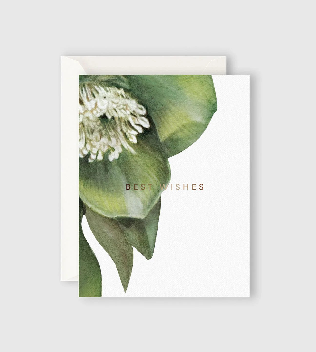 Father Rabbit Stationery - Greeting Card - Hellebore Best Wishes