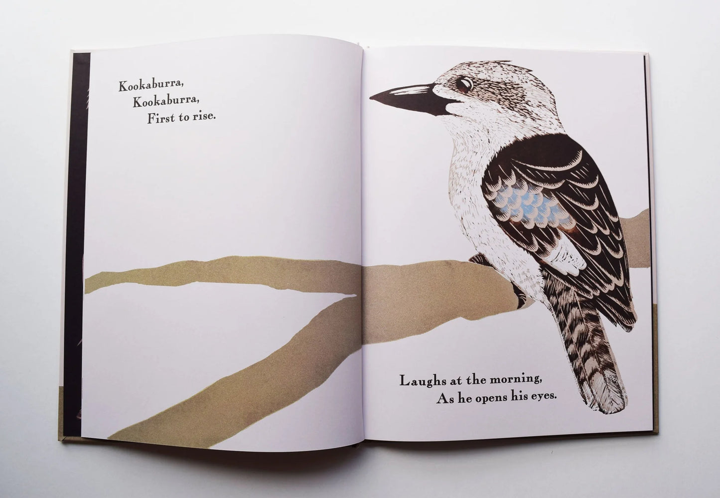 Kookaburra Kookaburra - Book By Bridget Farmer