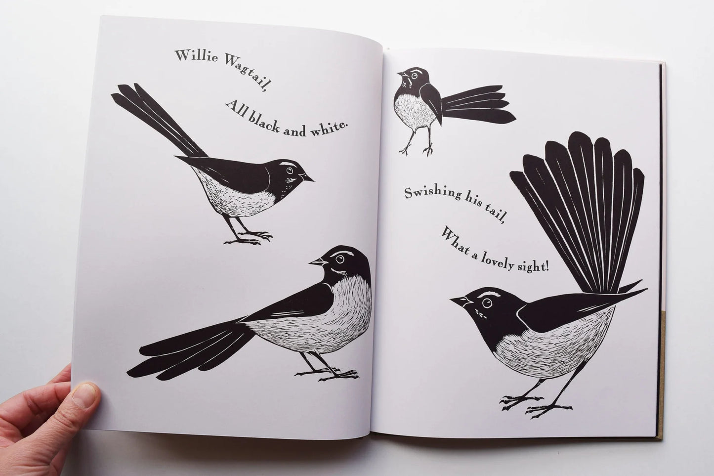 Kookaburra Kookaburra - Book By Bridget Farmer