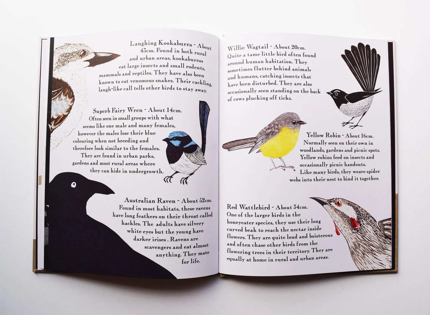 Kookaburra Kookaburra - Book By Bridget Farmer