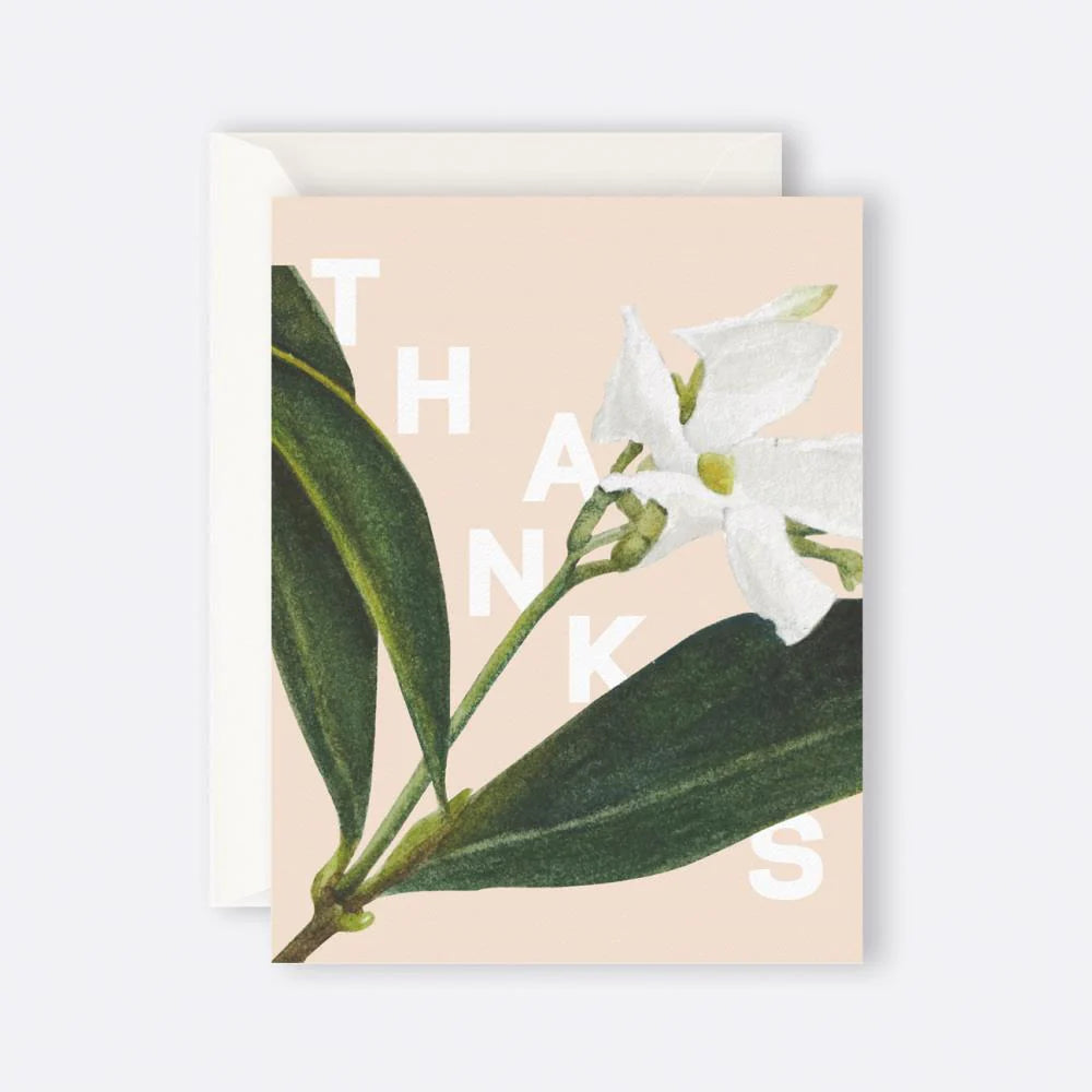 Father Rabbit Stationery - Greeting Card - Jasmine Thanks