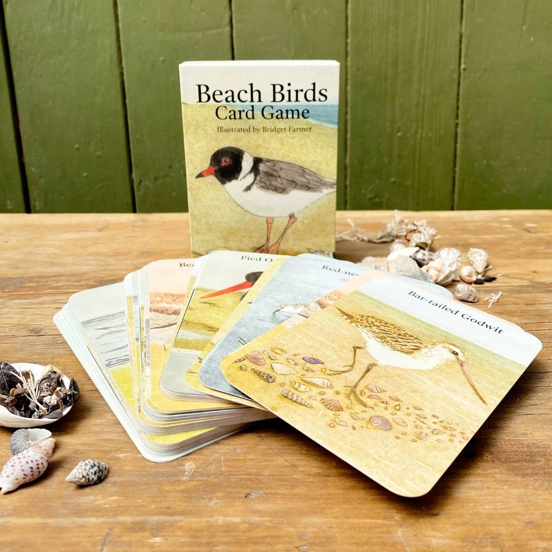 The Beach Birds - Card Game By Bridget Farmer