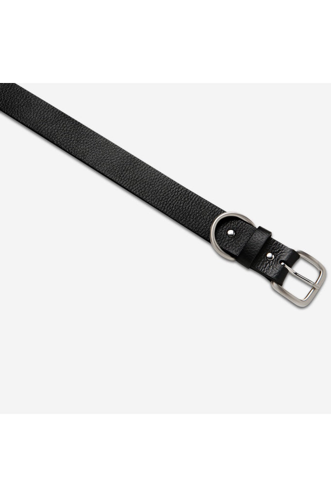 Status Anxiety - Disarm Belt Black/Silver