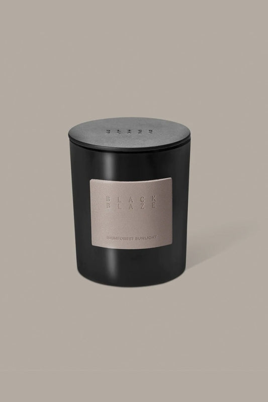 Black Blaze - Candle Rainforest Sunlight