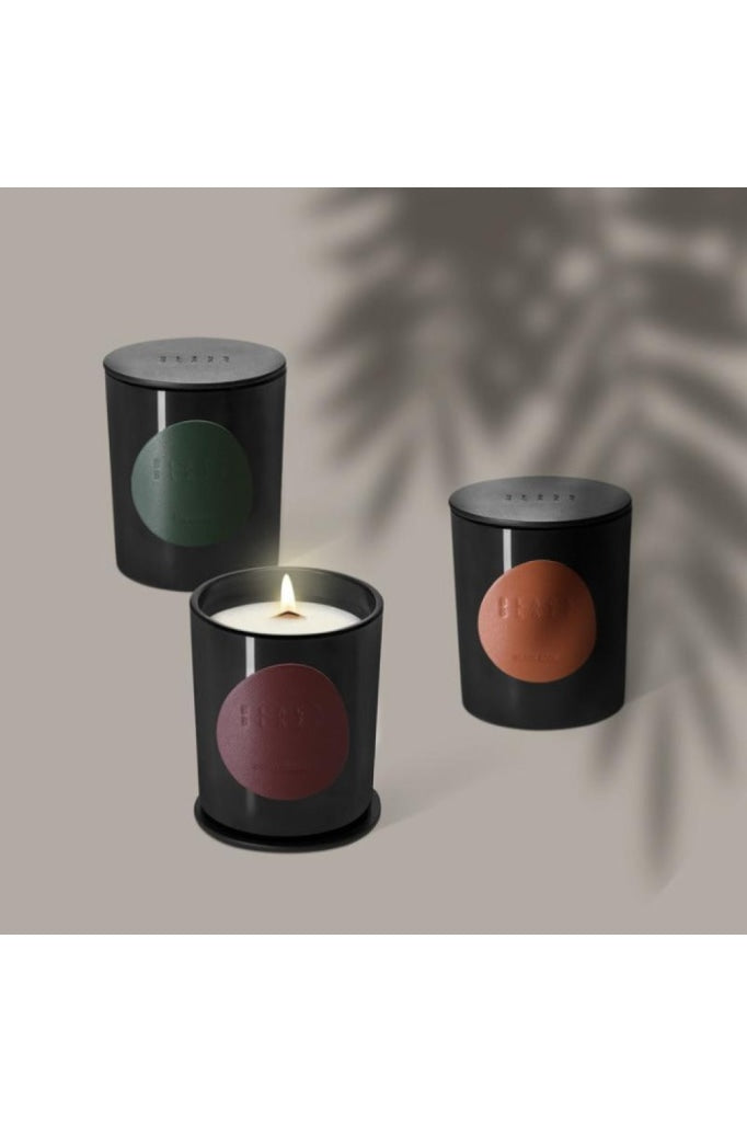 BLACK BLAZE - CANDLE - VETIVER & FIG - Tempted Kensington
