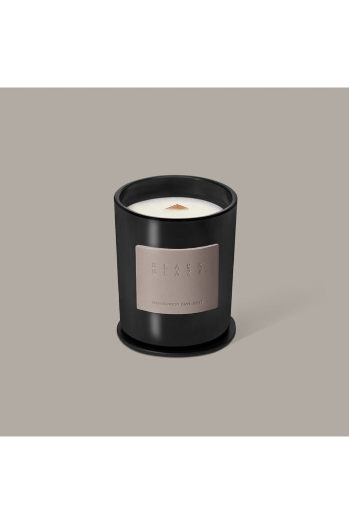 Black Blaze - Candle Rainforest Sunlight