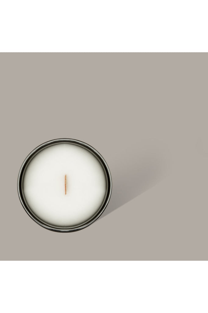 Black Blaze - Candle Rainforest Sunlight