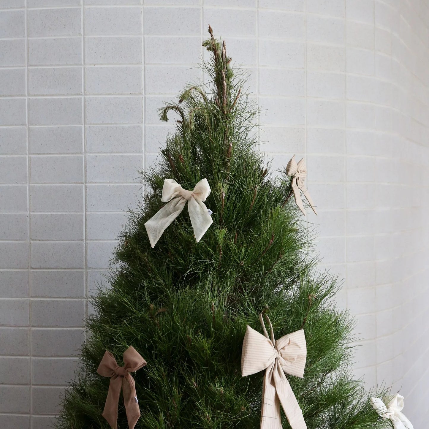 Designstuff - Luva Bow With Tree Clip- Small- H24cm - Sage/black Stripe