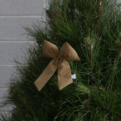 Designstuff - Luva Bow With Tree Clip- Small- H24cm - Fern