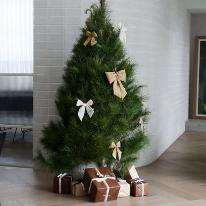 Designstuff - Luva Bow With Tree Clip- Small- H24cm - Fern