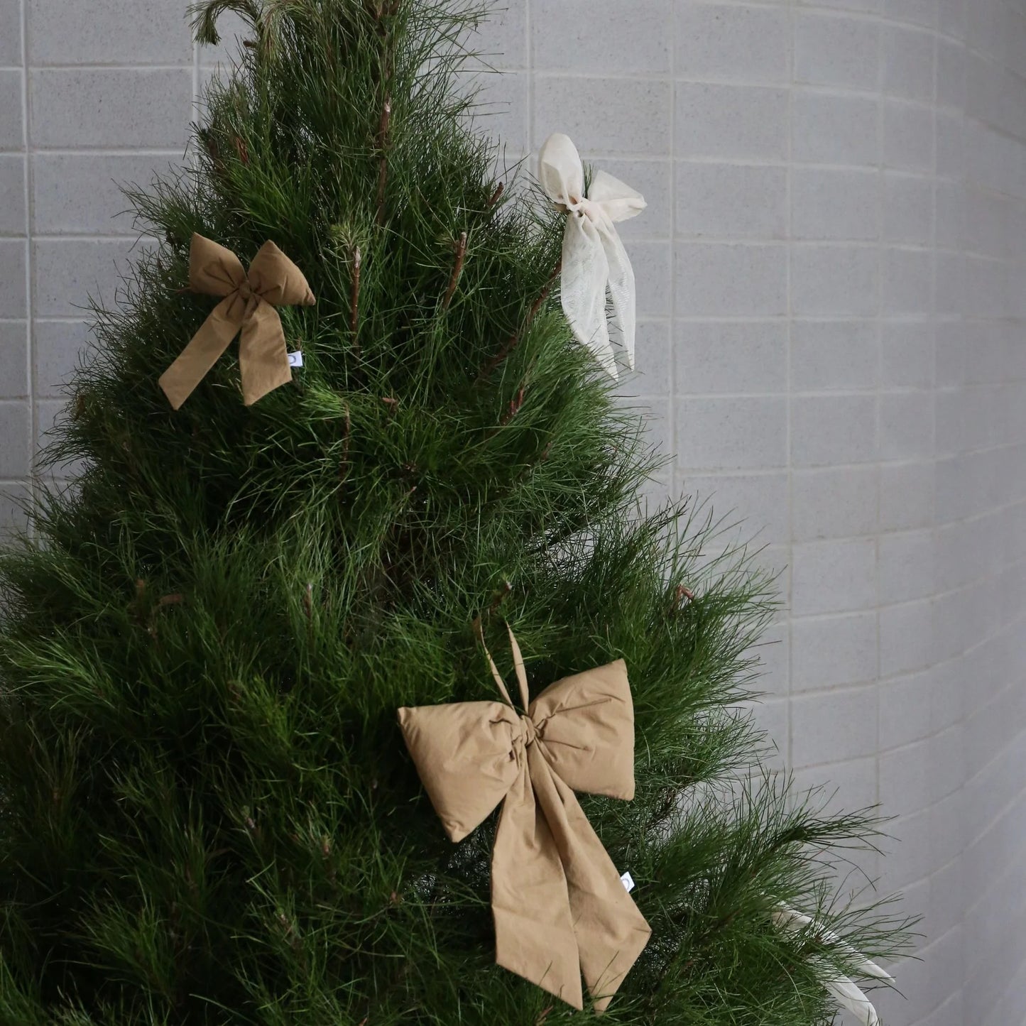 Designstuff - Luva Bow With Tree Clip- Small- H24cm - Fern