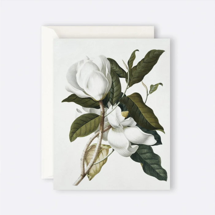 Father Rabbit Stationery - Greeting Card - Gardenia