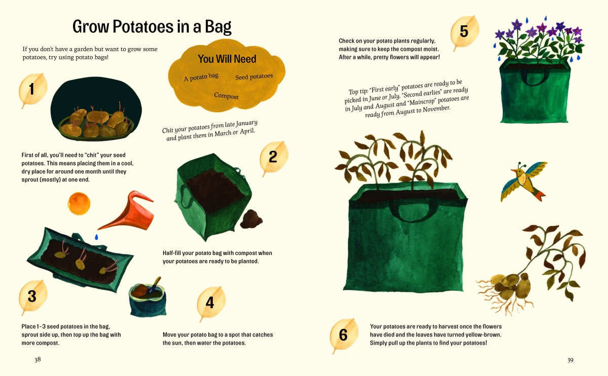 Little Green Fingers By Little Gestalten