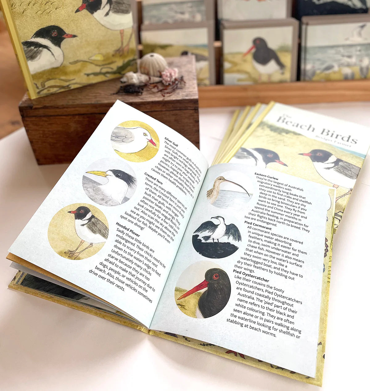 The Beach Birds - Book By Bridget Farmer