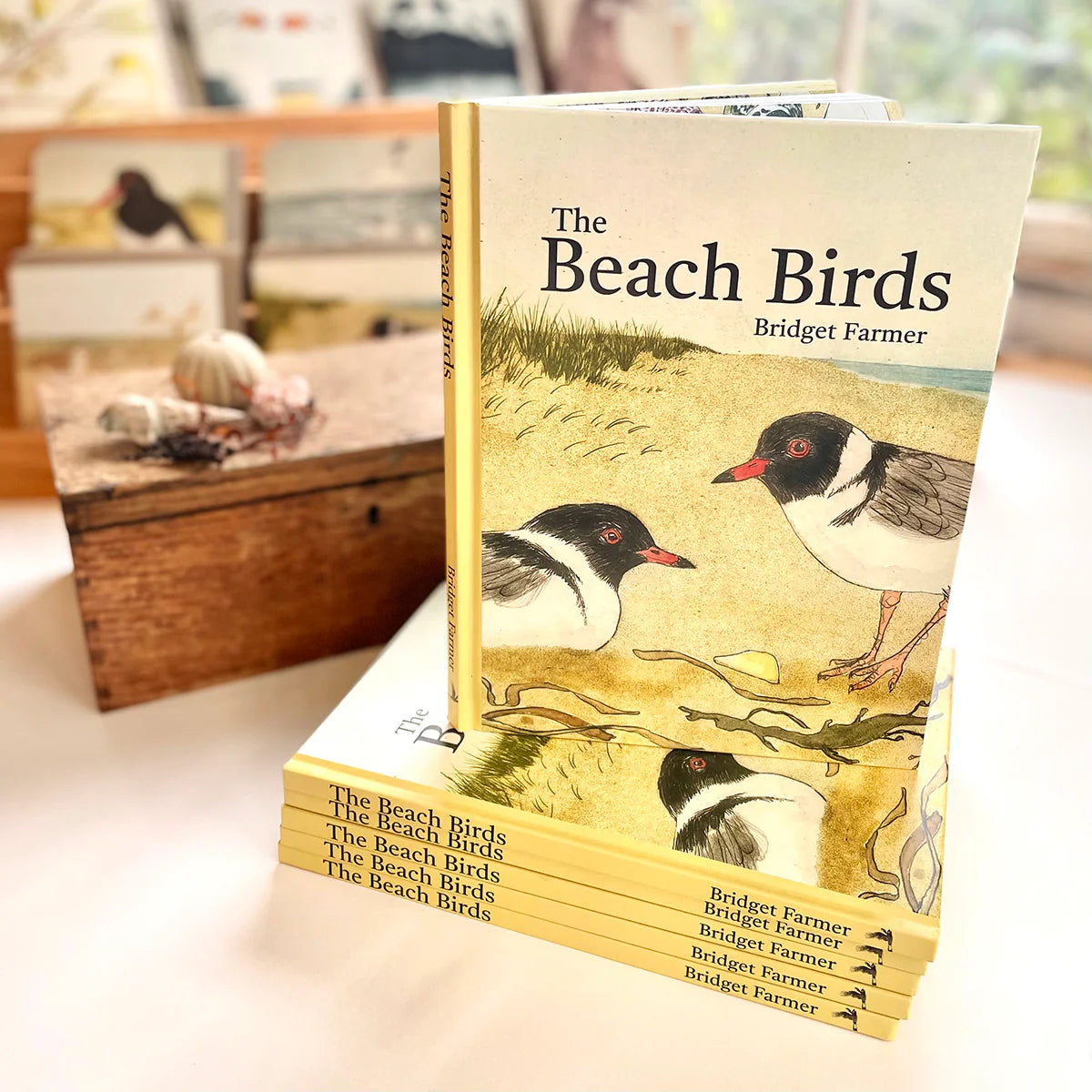 The Beach Birds - Book By Bridget Farmer
