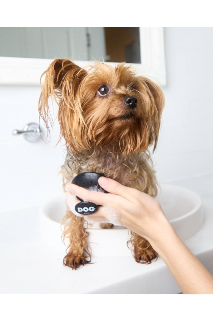 Dog By Dr Lisa - Wash Brush Black Animals & Pet Supplies >