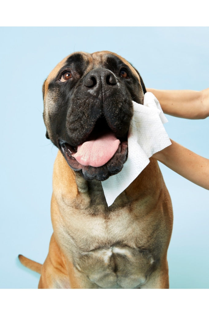 Dog By Dr Lisa - Wipes Animals & Pet Supplies >