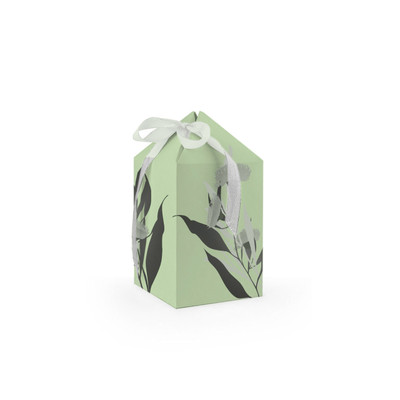 Studio Milligram - Gift Boxed Propagation Vase - Jade