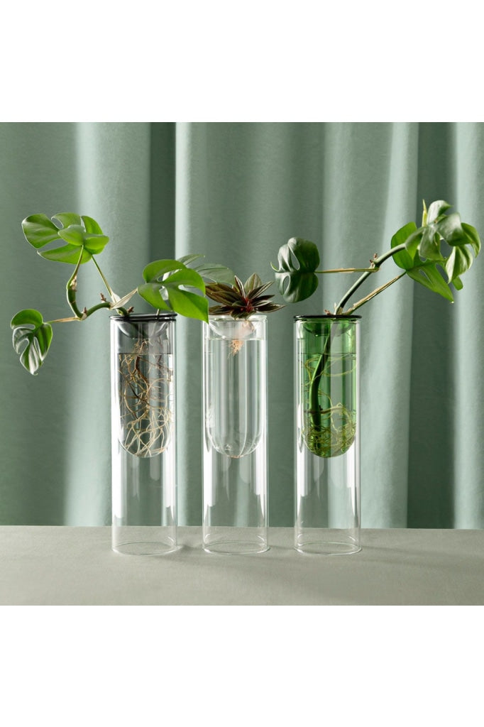 Studio Milligram - Organic Interior Prop Vase Clear Home Accessories
