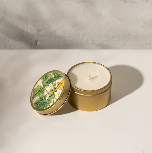 Inartisan - Soy Candle In Travel Tin - Cucumber Mint & Ginger