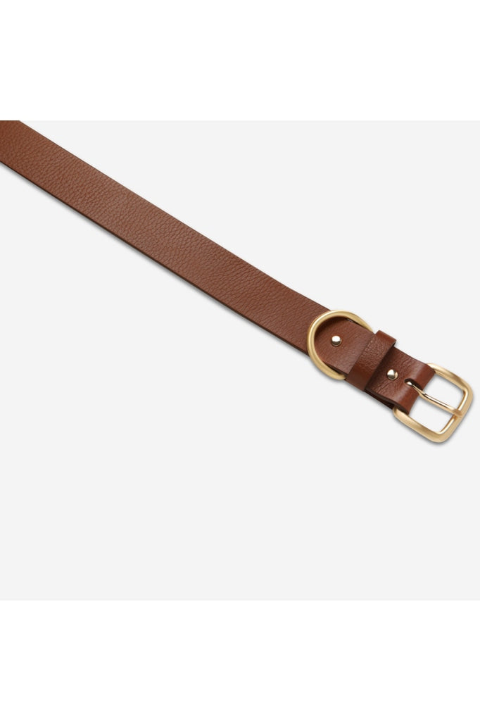 Status Anxiety - Disarm Belt Tan/Gold Sm