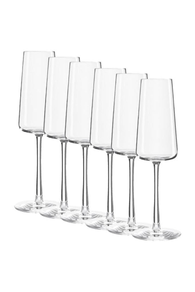 STOLZLE - POWER COLLECTION - CHAMPAGNE FLUTE - SET OF 6